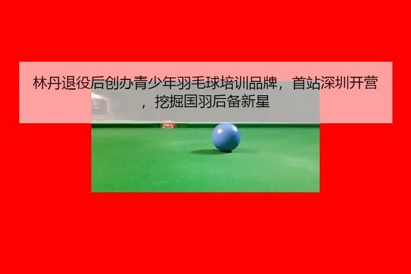 lin-dan-tui-yi-hou-chuang-ban-qing-shao-nian-yu-mao-qiu-pei-xun-pin-pai-shou-zhan-shen-zhen-kai-ying-wa-jue-guo-yu-hou-2-435.jpg